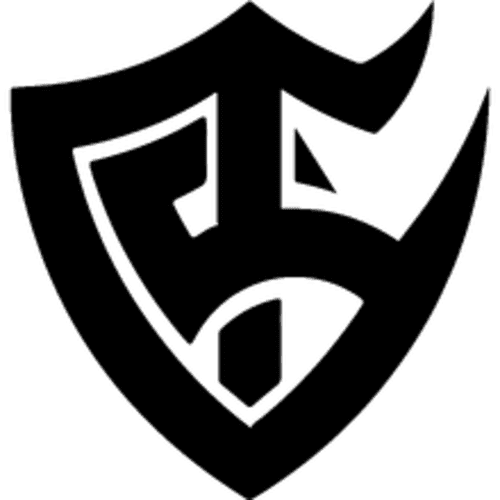 ts3 icon