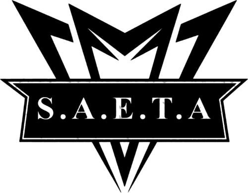 seta icon