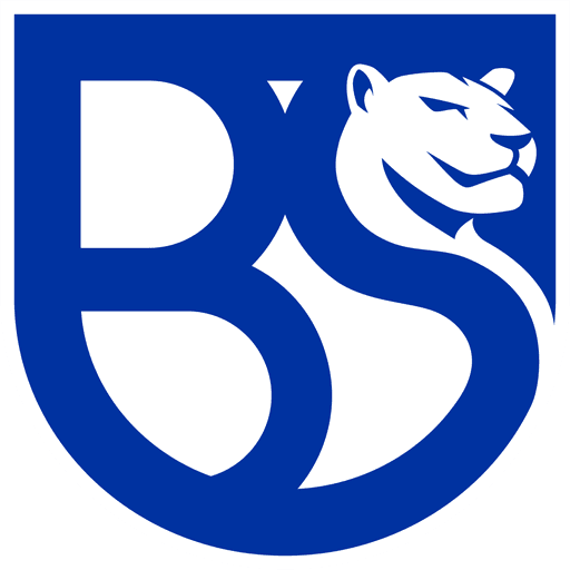 ub icon