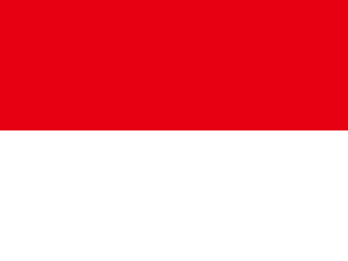 indone icon