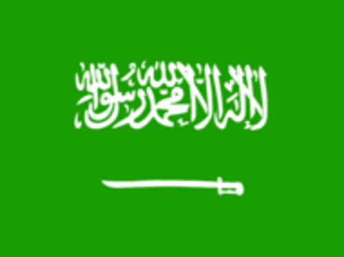 sau icon