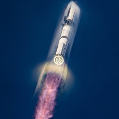 Will Elon Musk change his X profile picture by January 31? card icon