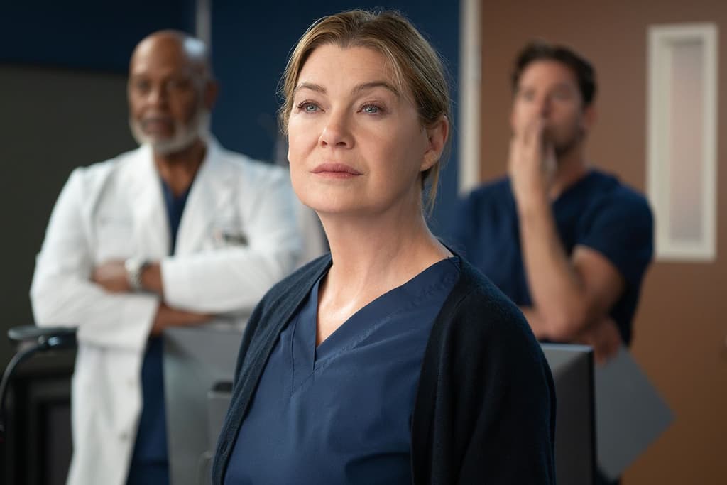 icon for Grey's Anatomy: Staffel 22