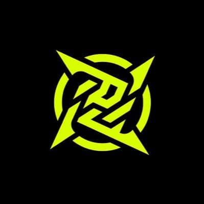 icon for Ninjas in Pyjamas