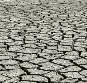 icon for Will Oregon reach D4 (Exceptional Drought) by August 31, 2026?