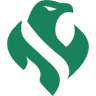 icon for Riyadh Falcons