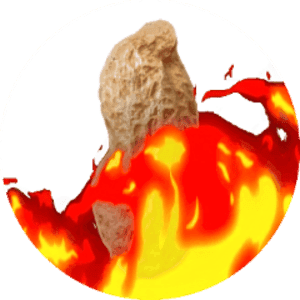 icon for TheBurntPeanut