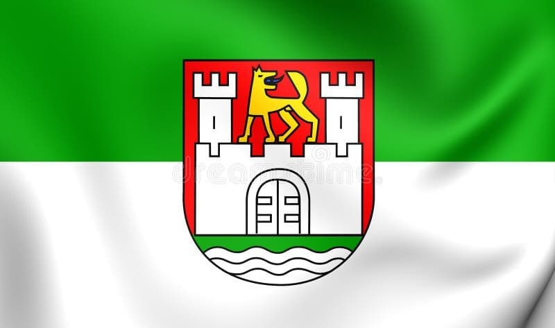 icon for Wolfsburg Mayoral Election Winner
